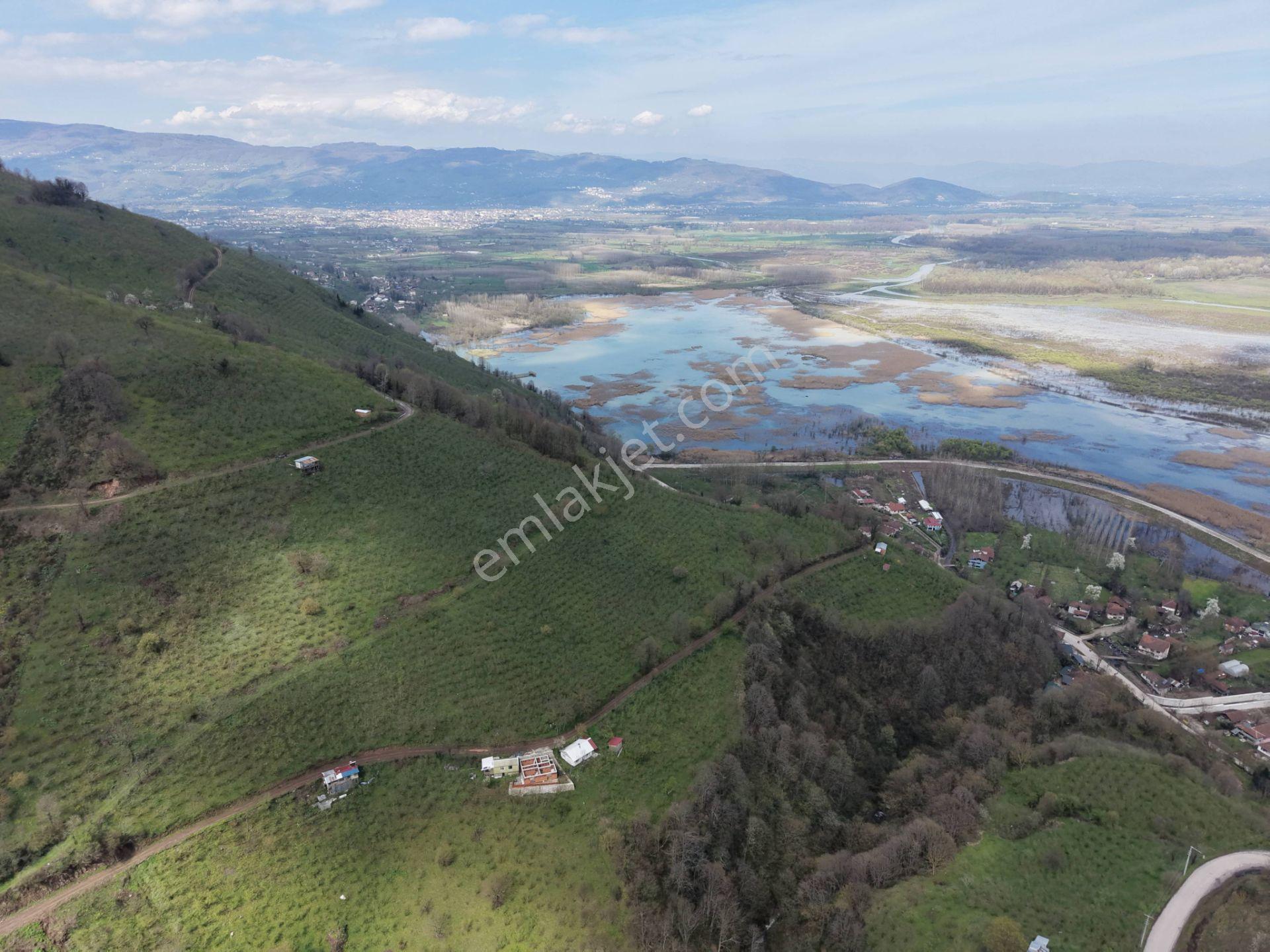 Hamamüstü Efteni Gölü'ne Manzaralı 5463 M2 Satılık Arazi - Görsel 22