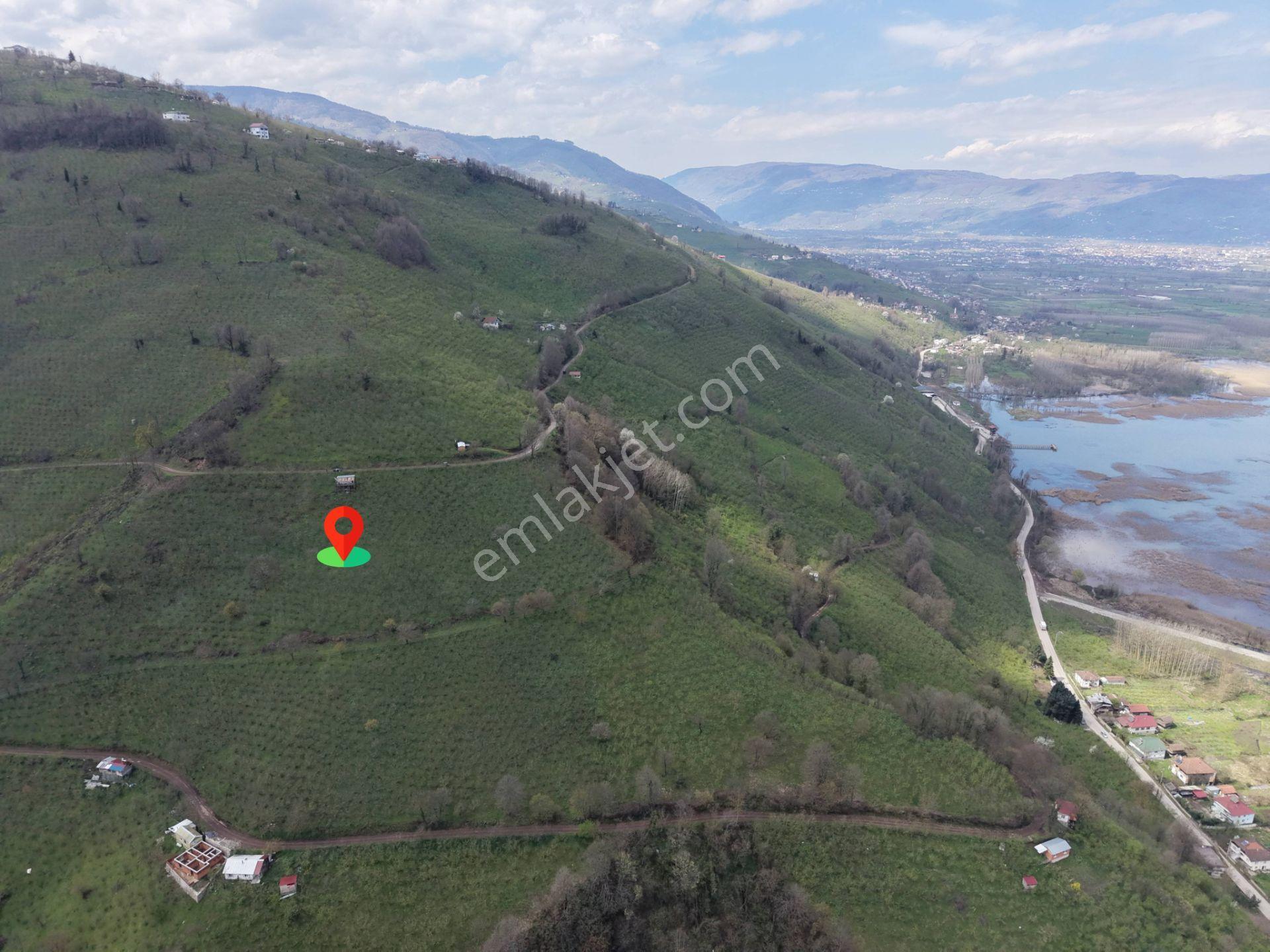 Hamamüstü Efteni Gölü'ne Manzaralı 5463 M2 Satılık Arazi - Görsel 23