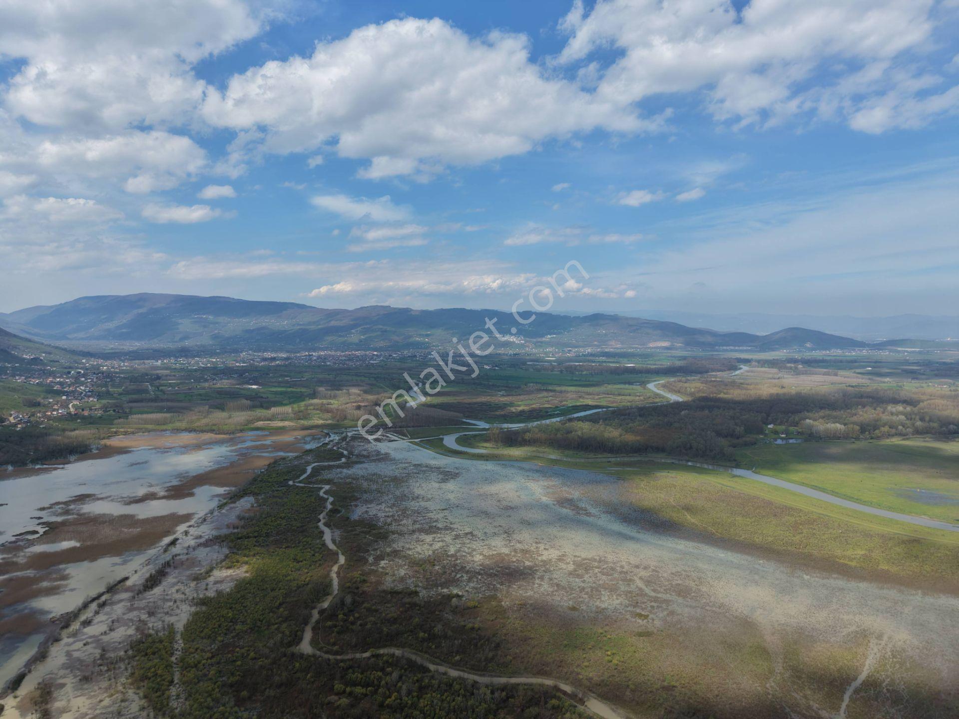 Hamamüstü Efteni Gölü'ne Manzaralı 5463 M2 Satılık Arazi - Görsel 11