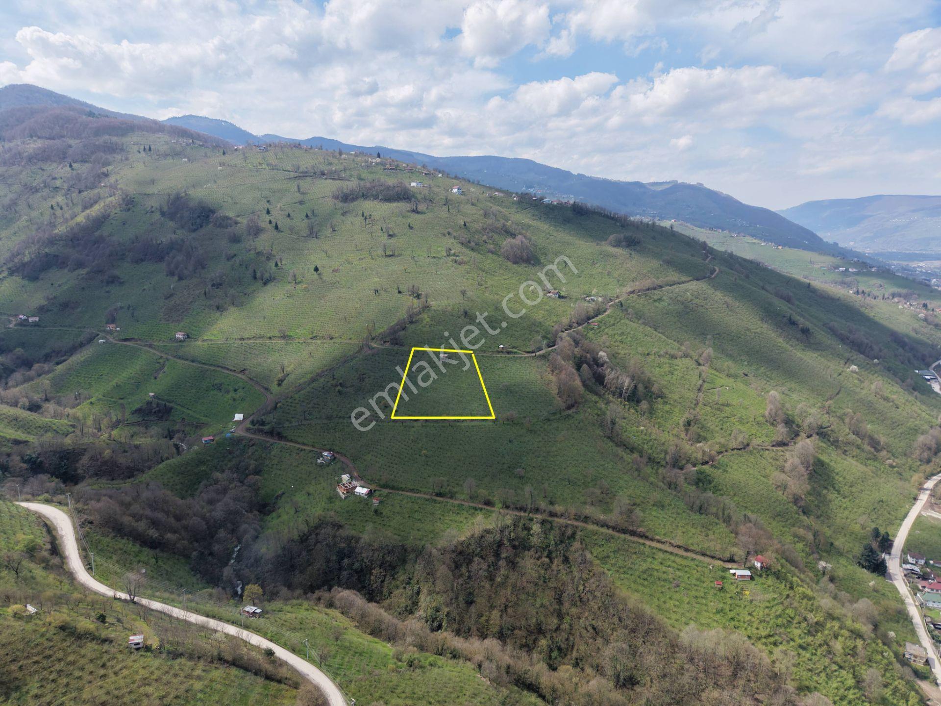Hamamüstü Efteni Gölü'ne Manzaralı 5463 M2 Satılık Arazi - Görsel 25