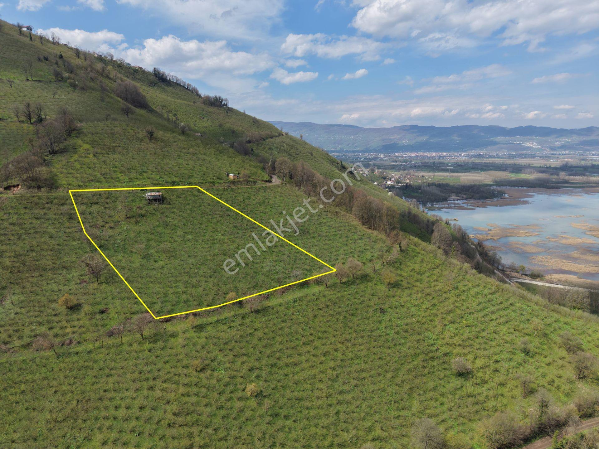 Hamamüstü Efteni Gölü'ne Manzaralı 5463 M2 Satılık Arazi - Görsel 26