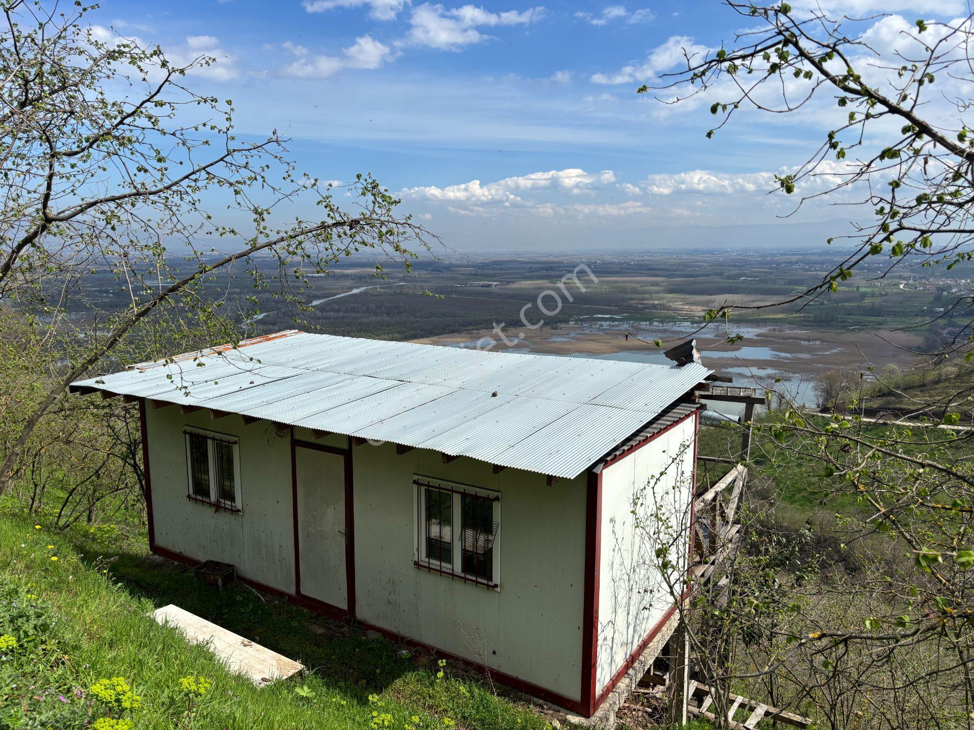Hamamüstü Efteni Gölü'ne Manzaralı 5463 M2 Satılık Arazi - Görsel 16