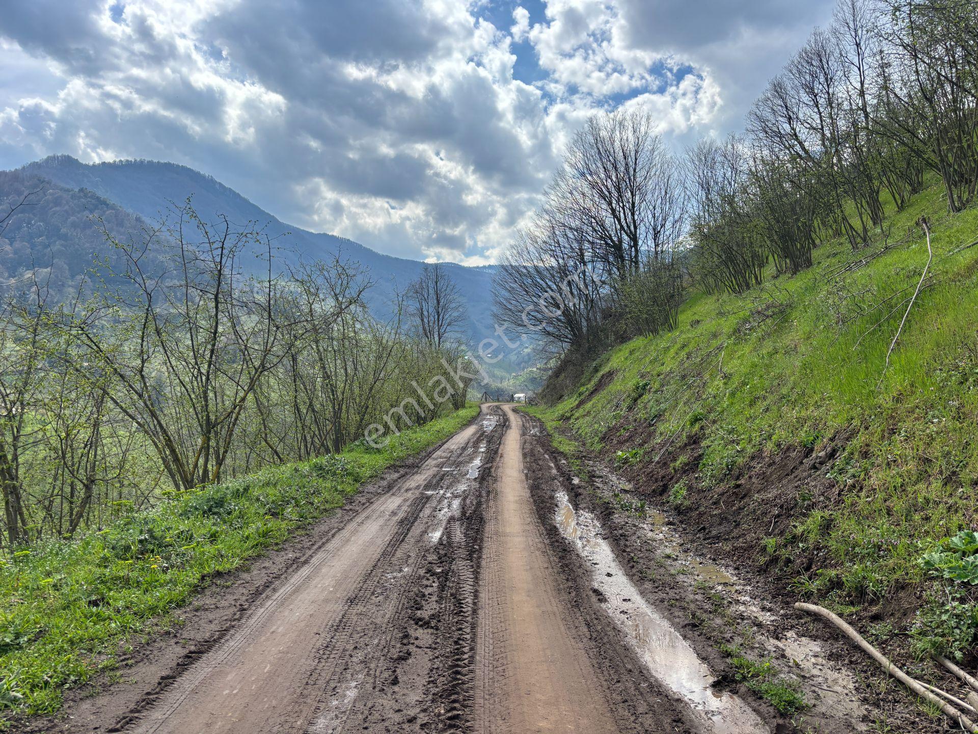 Hamamüstü Efteni Gölü'ne Manzaralı 5463 M2 Satılık Arazi - Görsel 13