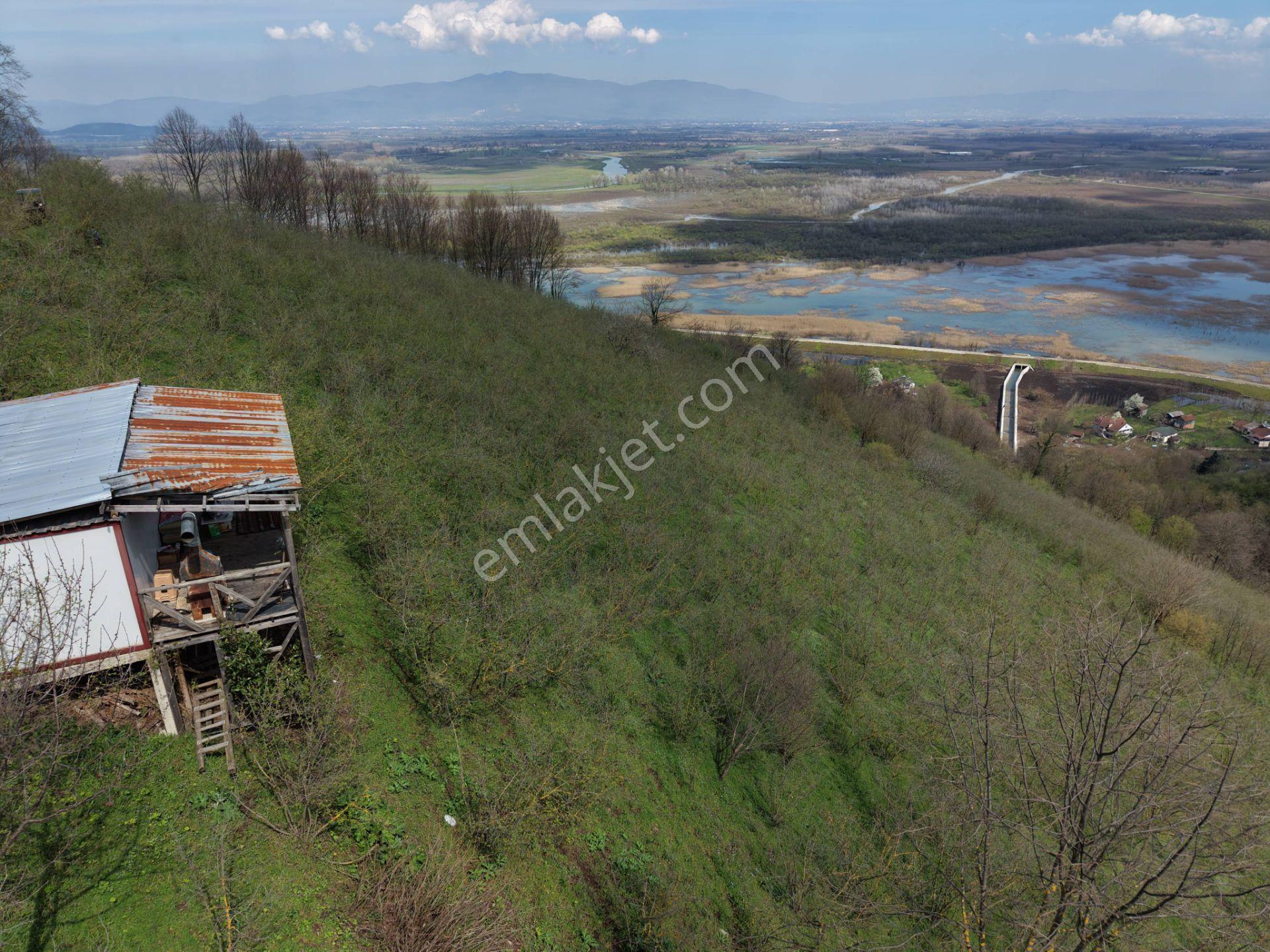 Hamamüstü Efteni Gölü'ne Manzaralı 5463 M2 Satılık Arazi - Görsel 27