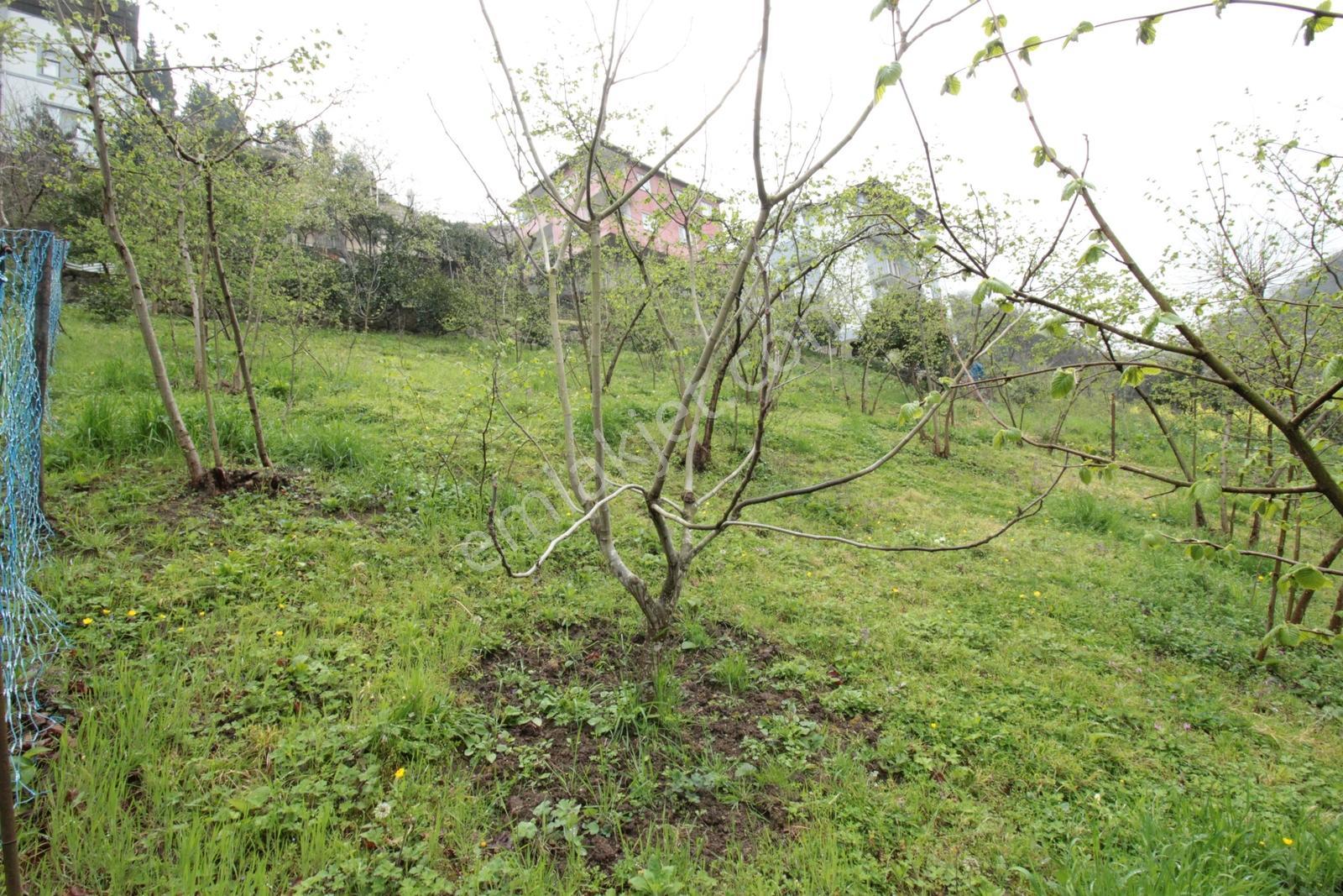 Kaçmaz Emlak'tan Trabzon Bahçecik Mahallesinde Satılık Arsa - Görsel 6