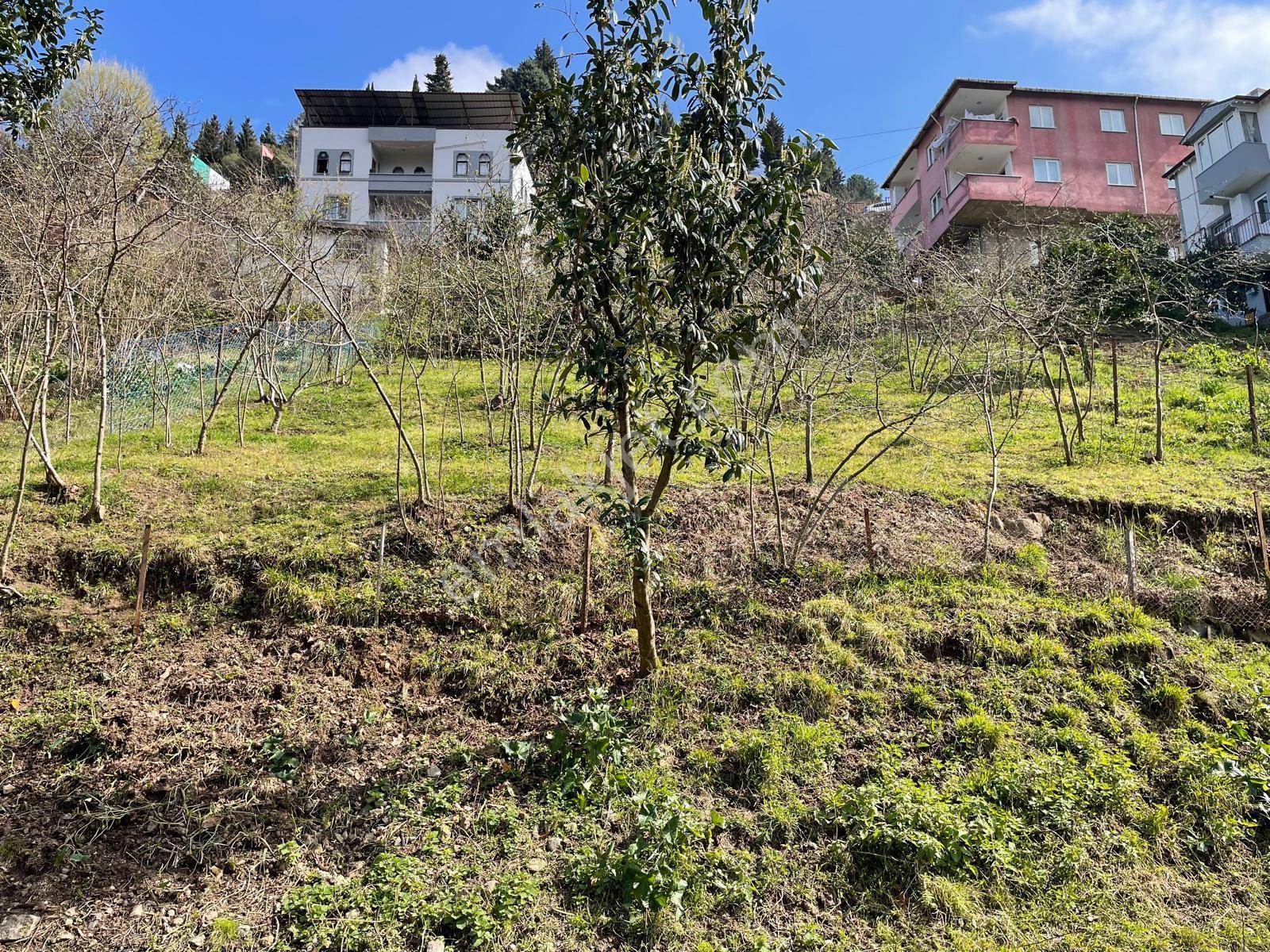 Kaçmaz Emlak'tan Trabzon Bahçecik Mahallesinde Satılık Arsa - Görsel 13