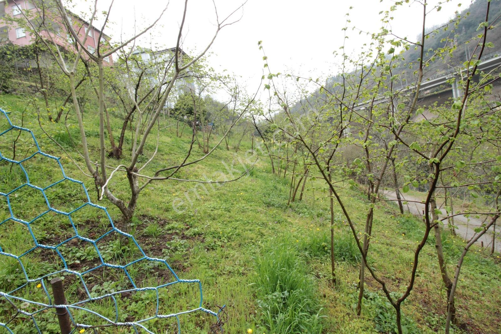 Kaçmaz Emlak'tan Trabzon Bahçecik Mahallesinde Satılık Arsa - Görsel 3