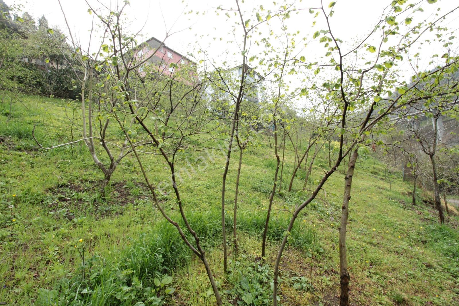 Kaçmaz Emlak'tan Trabzon Bahçecik Mahallesinde Satılık Arsa - Görsel 7