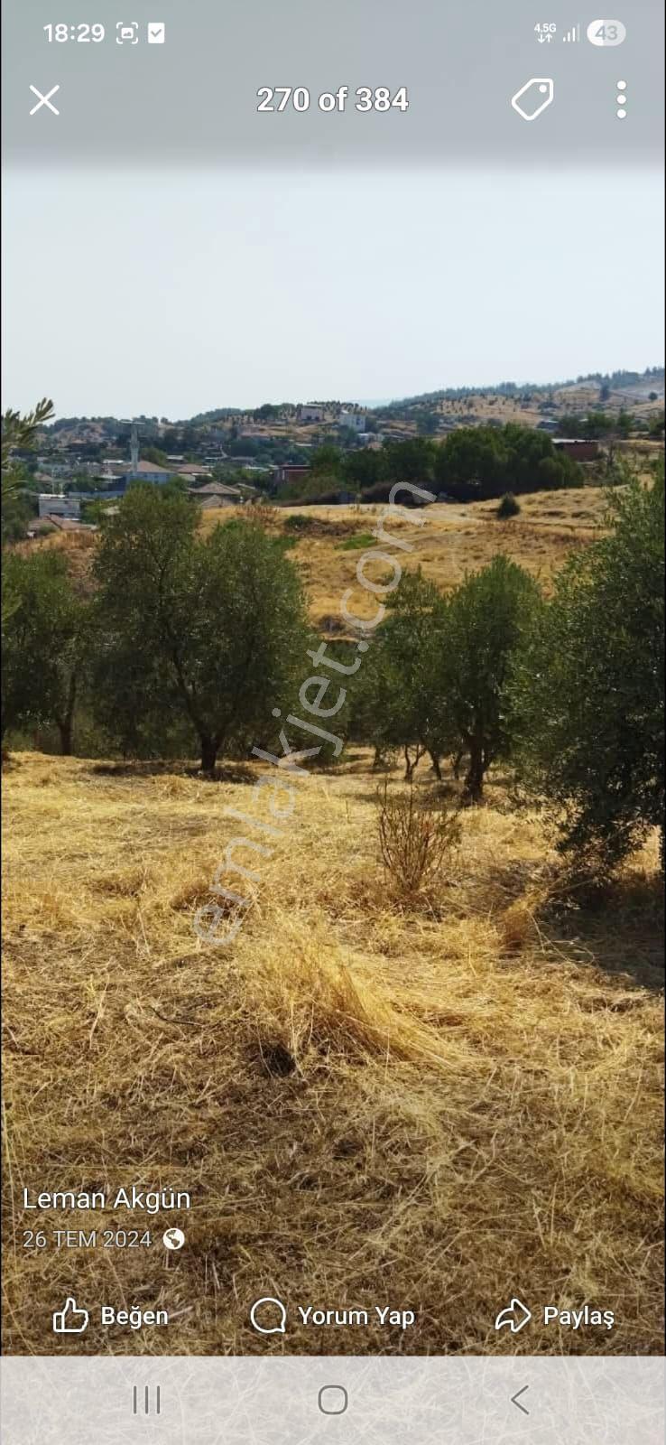 Doğru Gayrimenkulden Yenipaz Donduranda 1754 Metrekare Köy İçi İmarlı Arsa - Görsel 4