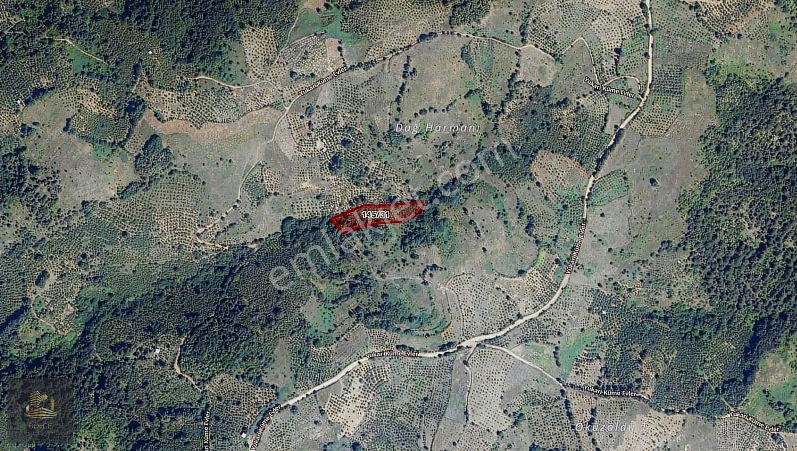 Bölge'den Yığılcada 3.350 M2 Müstakil Tapulu Fındık Bahçesi - Görsel 2