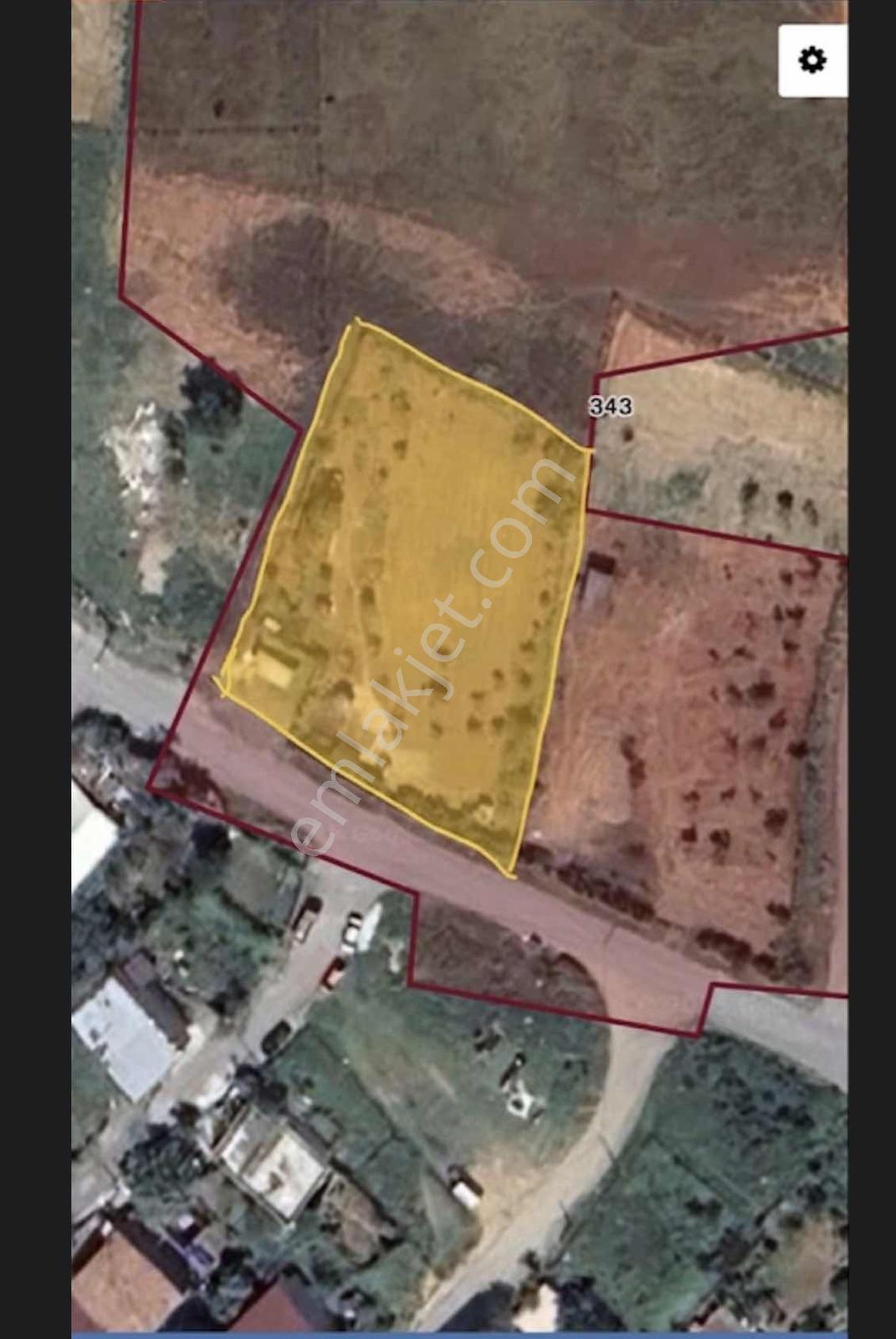 Yayla Merkezde Satılık 2000 M2 Etrafı Çevrili Barakalı Arsa