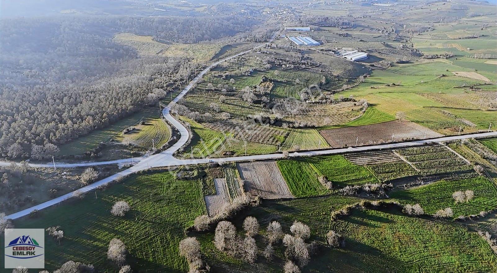 Makina Osbye 3 Dk! Taşolukta 1514 M² Havadar Kupon Arazi ! - Görsel 2