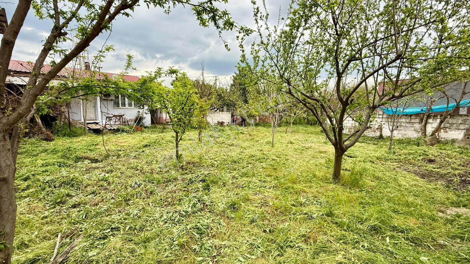 Aydın Efeler Umurlu Mahallesinde Müstakil Evli Satılık Arsa - Görsel 26