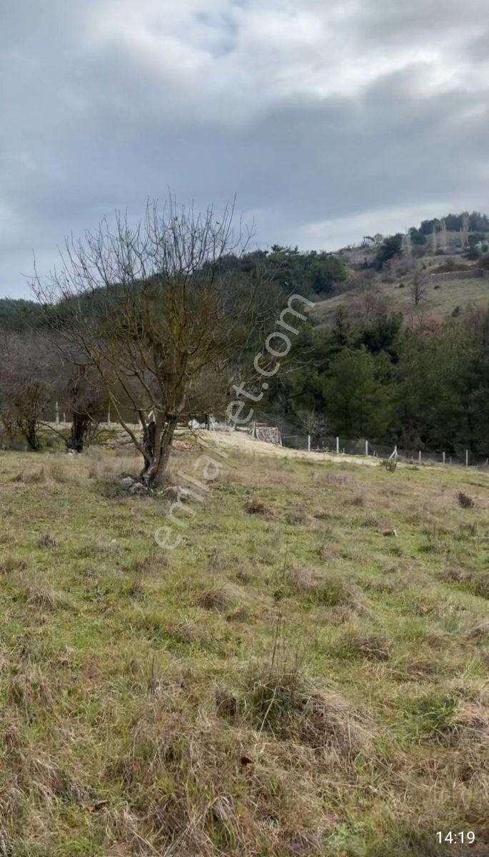 İzmir-manisa Yolu (istanbul Caddesi) Üzerinde Satılık 2b Arsası
