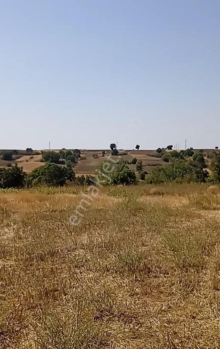 Kırklareli Merkez De 4800 M2 Tarla - Görsel 2