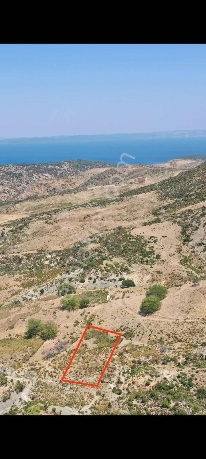 Gelibolu Yeniköy'de 760 M2. Deniz Manzaralı Müstakil Tek Tapu - Görsel 7