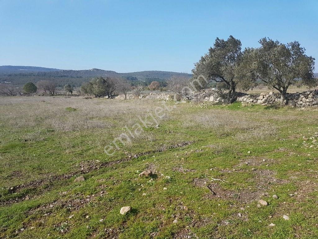İzmir Urla Barbaros Köy İçinde 1.600 M2 İmarlı Satılık Arsa - Görsel 11