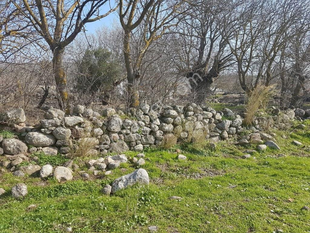 İzmir Urla Barbaros Köy İçinde 1.600 M2 İmarlı Satılık Arsa - Görsel 3