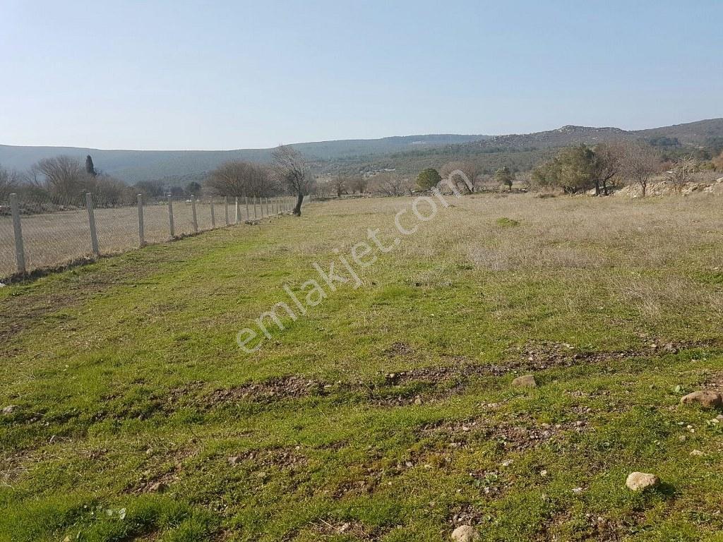 İzmir Urla Barbaros Köy İçinde 1.600 M2 İmarlı Satılık Arsa - Görsel 19