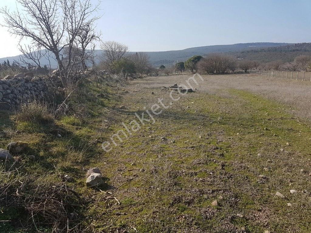 İzmir Urla Barbaros Köy İçinde 1.600 M2 İmarlı Satılık Arsa - Görsel 2