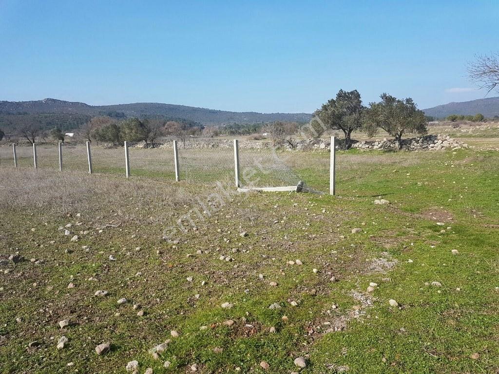 İzmir Urla Barbaros Köy İçinde 1.600 M2 İmarlı Satılık Arsa - Görsel 12