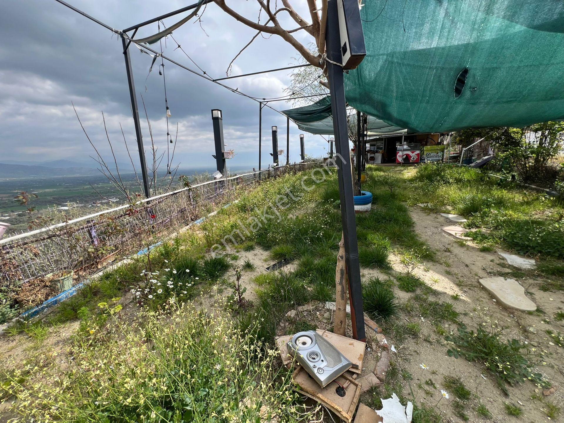 Dallık Yolu Üzerinde Ruhsatlı Çay Bahçesi - Görsel 6