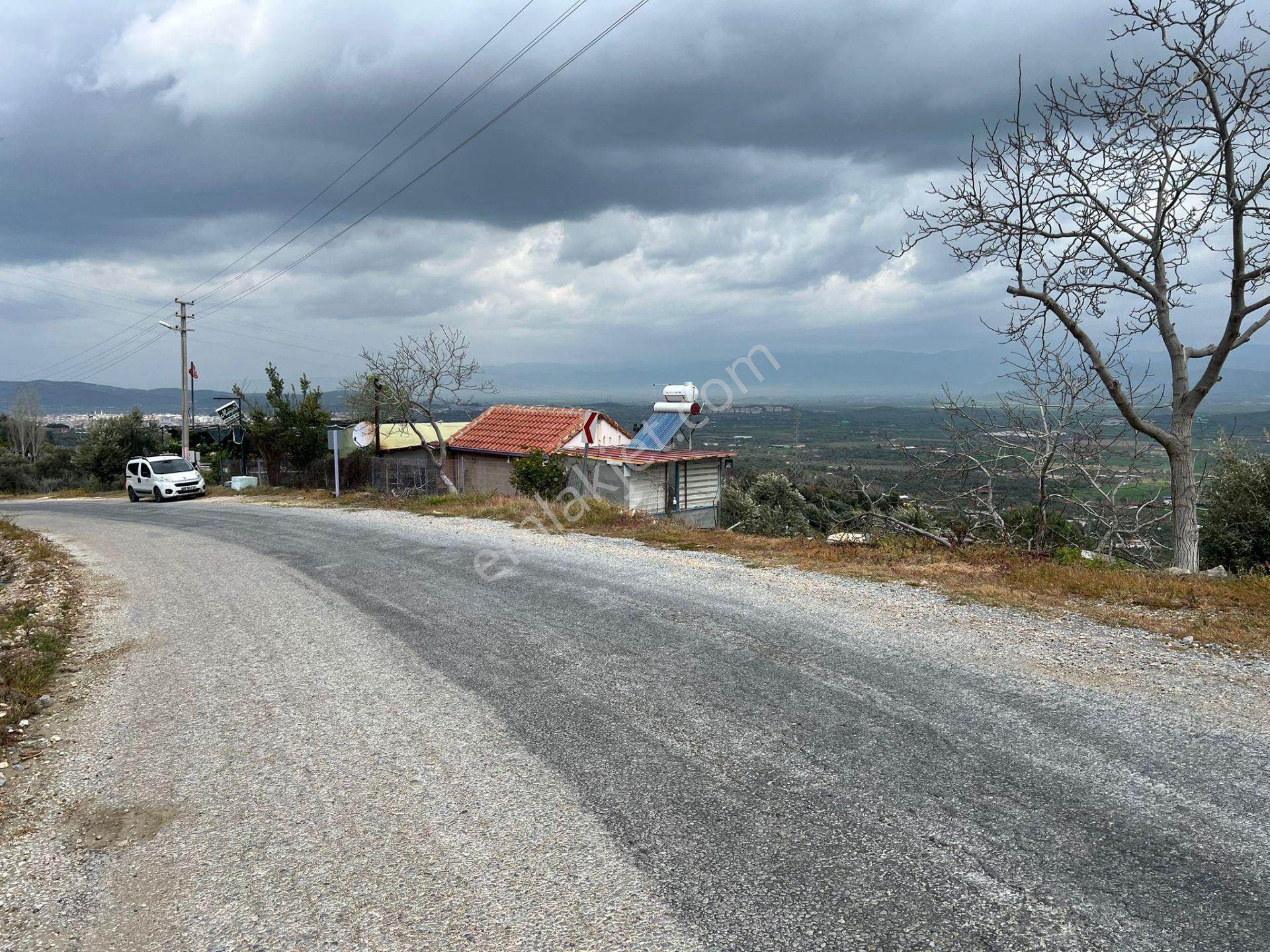 Dallık Yolu Üzerinde Ruhsatlı Çay Bahçesi - Görsel 4