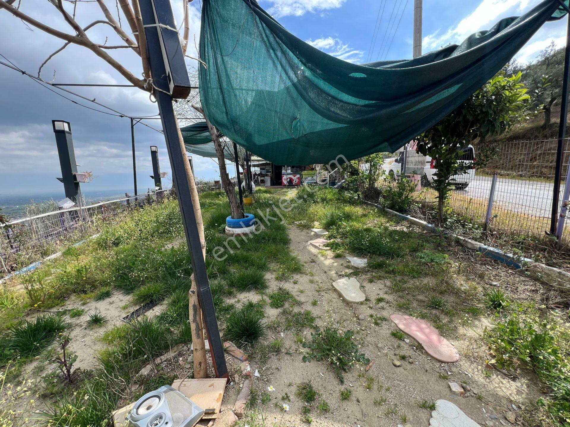 Dallık Yolu Üzerinde Ruhsatlı Çay Bahçesi - Görsel 8