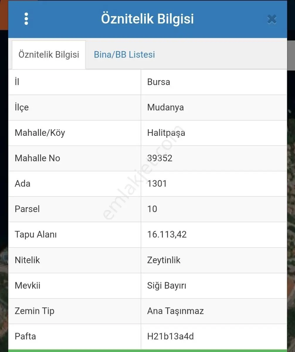 Mudanya Halitpaşa Satılık Kısmen İmarlı Zeytinlik - Görsel 4