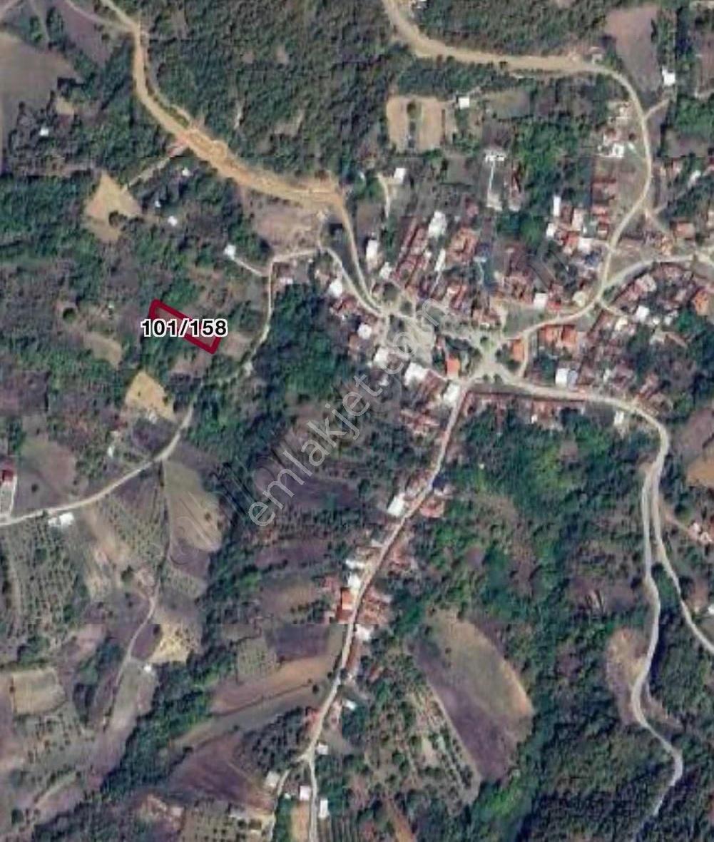 Hd'den Tek Tapu Tarla