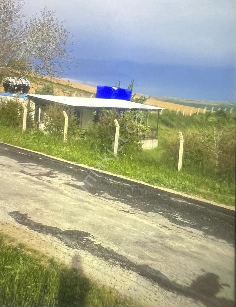 Gelibolu Yeniköyde 55 M2 Yaşam Alanlı 10.700 M2 Meyve Bahçesi - Görsel 4