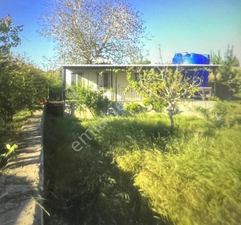 Gelibolu Yeniköyde 55 M2 Yaşam Alanlı 10.700 M2 Meyve Bahçesi - Görsel 6