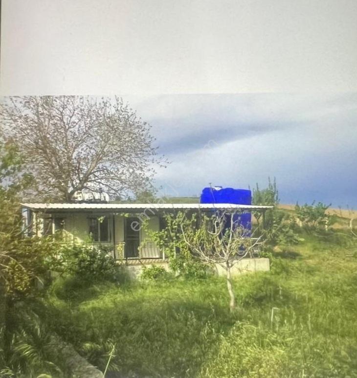 Gelibolu Yeniköyde 55 M2 Yaşam Alanlı 10.700 M2 Meyve Bahçesi - Görsel 9