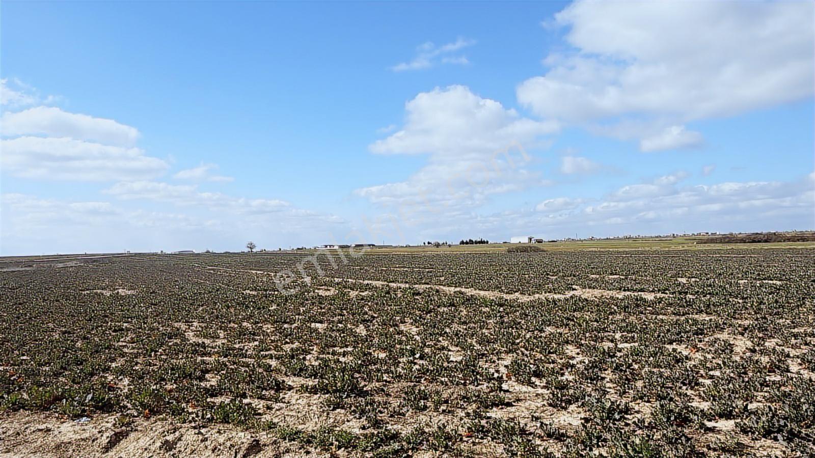 Saray Büyükyoncalı'da 320m2 Satılık İfrazlı Kupon Arsa - Görsel 2