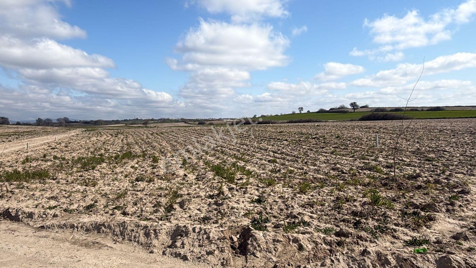 Saray Büyükyoncalı'da 320m2 Satılık İfrazlı Kupon Arsa - Görsel 6