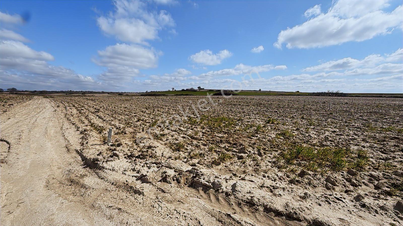 Saray Büyükyoncalı'da 320m2 Satılık İfrazlı Kupon Arsa - Görsel 12