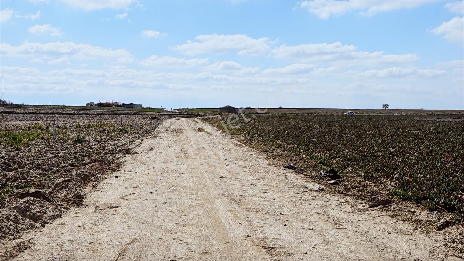 Saray Büyükyoncalı'da 320m2 Satılık İfrazlı Kupon Arsa - Görsel 33
