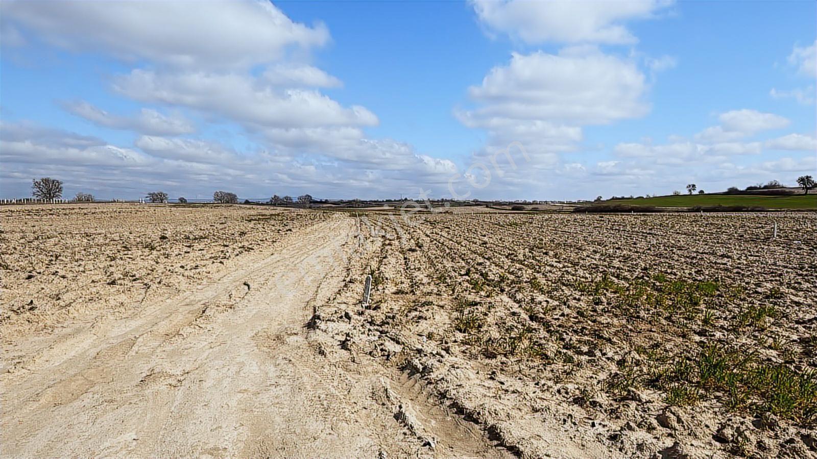 Saray Büyükyoncalı'da 320m2 Satılık İfrazlı Kupon Arsa - Görsel 24