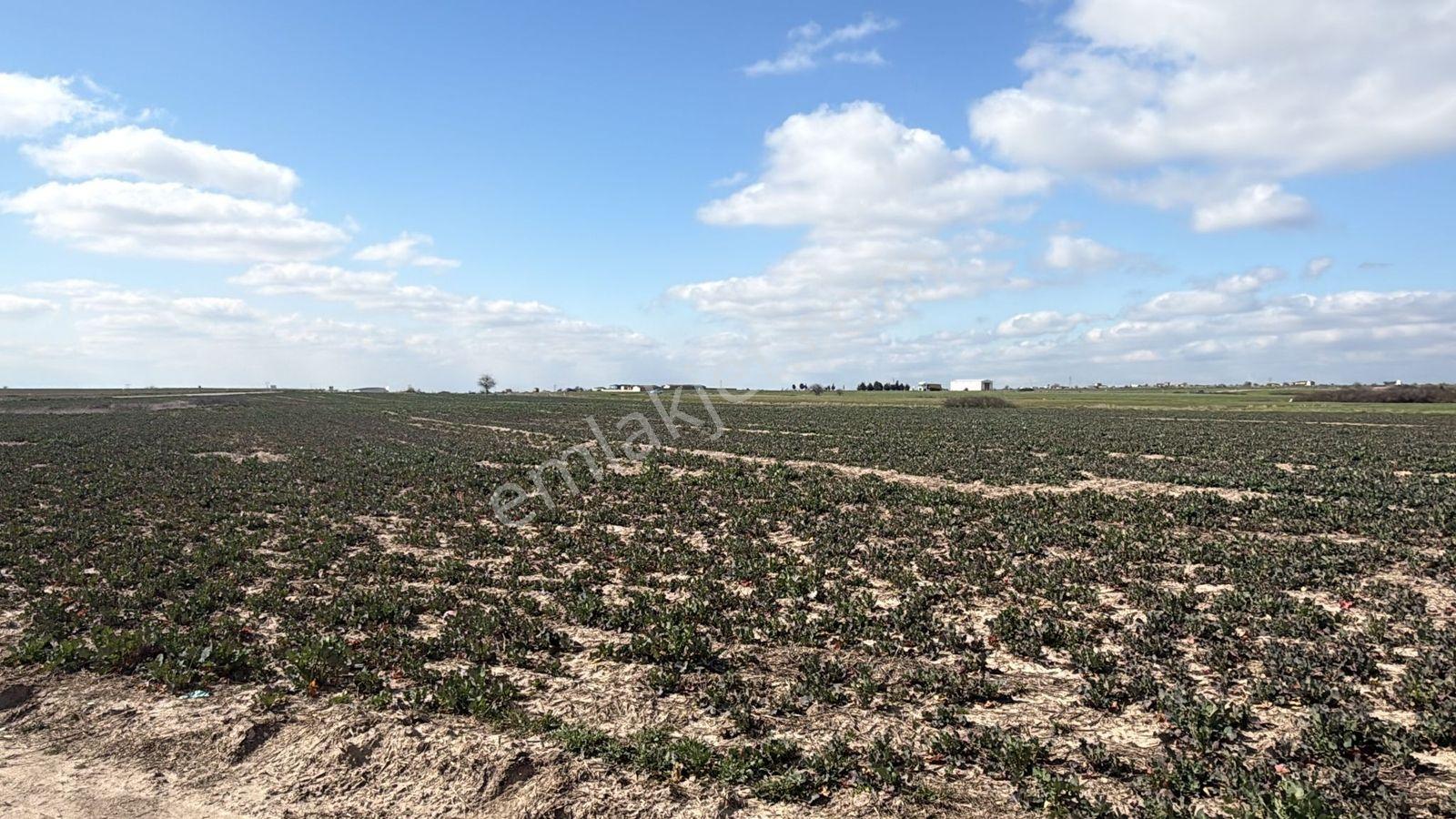 Saray Büyükyoncalı'da 320m2 Satılık İfrazlı Kupon Arsa - Görsel 22