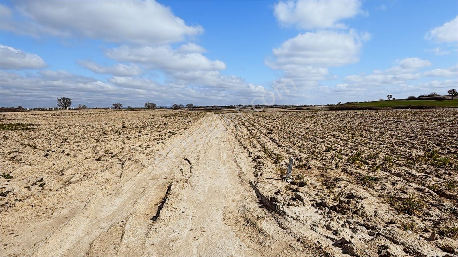 Saray Büyükyoncalı'da 320m2 Satılık İfrazlı Kupon Arsa - Görsel 21