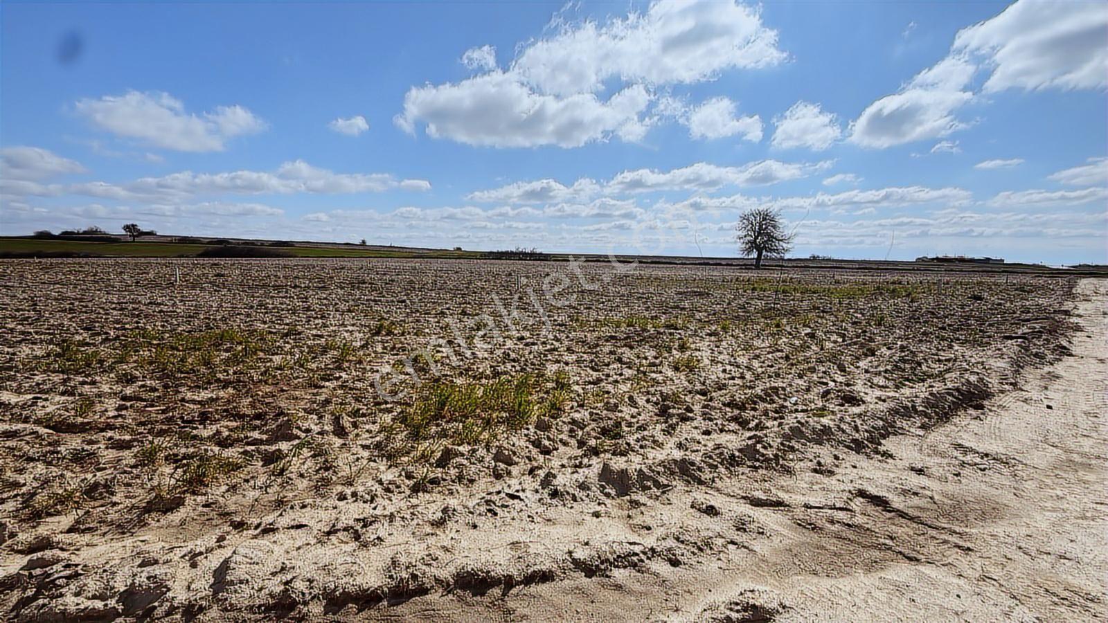 Saray Büyükyoncalı'da 320m2 Satılık İfrazlı Kupon Arsa - Görsel 20