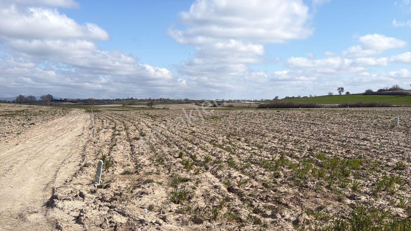 Saray Büyükyoncalı'da 320m2 Satılık İfrazlı Kupon Arsa - Görsel 8