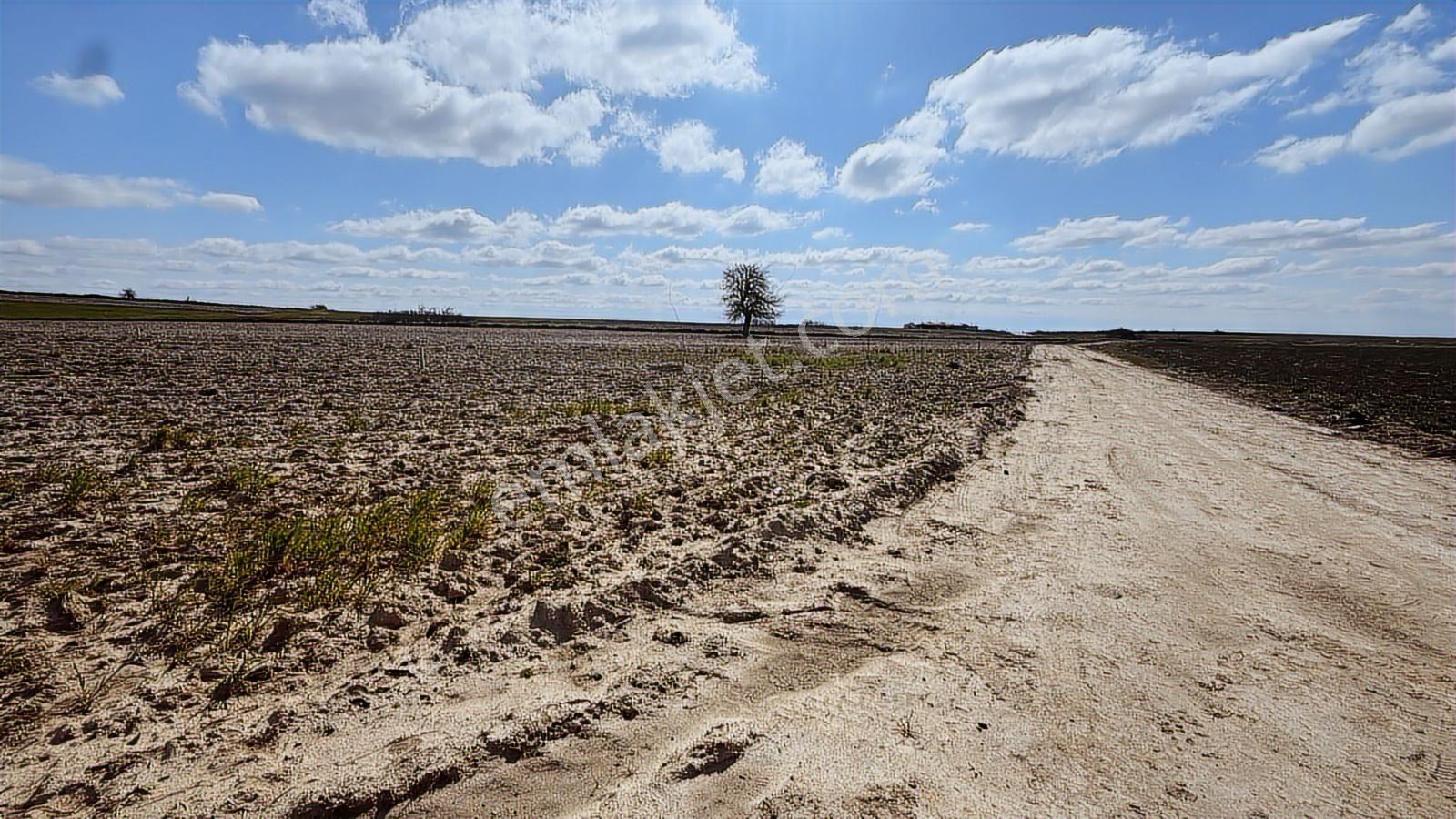 Saray Büyükyoncalı'da 320m2 Satılık İfrazlı Kupon Arsa - Görsel 18