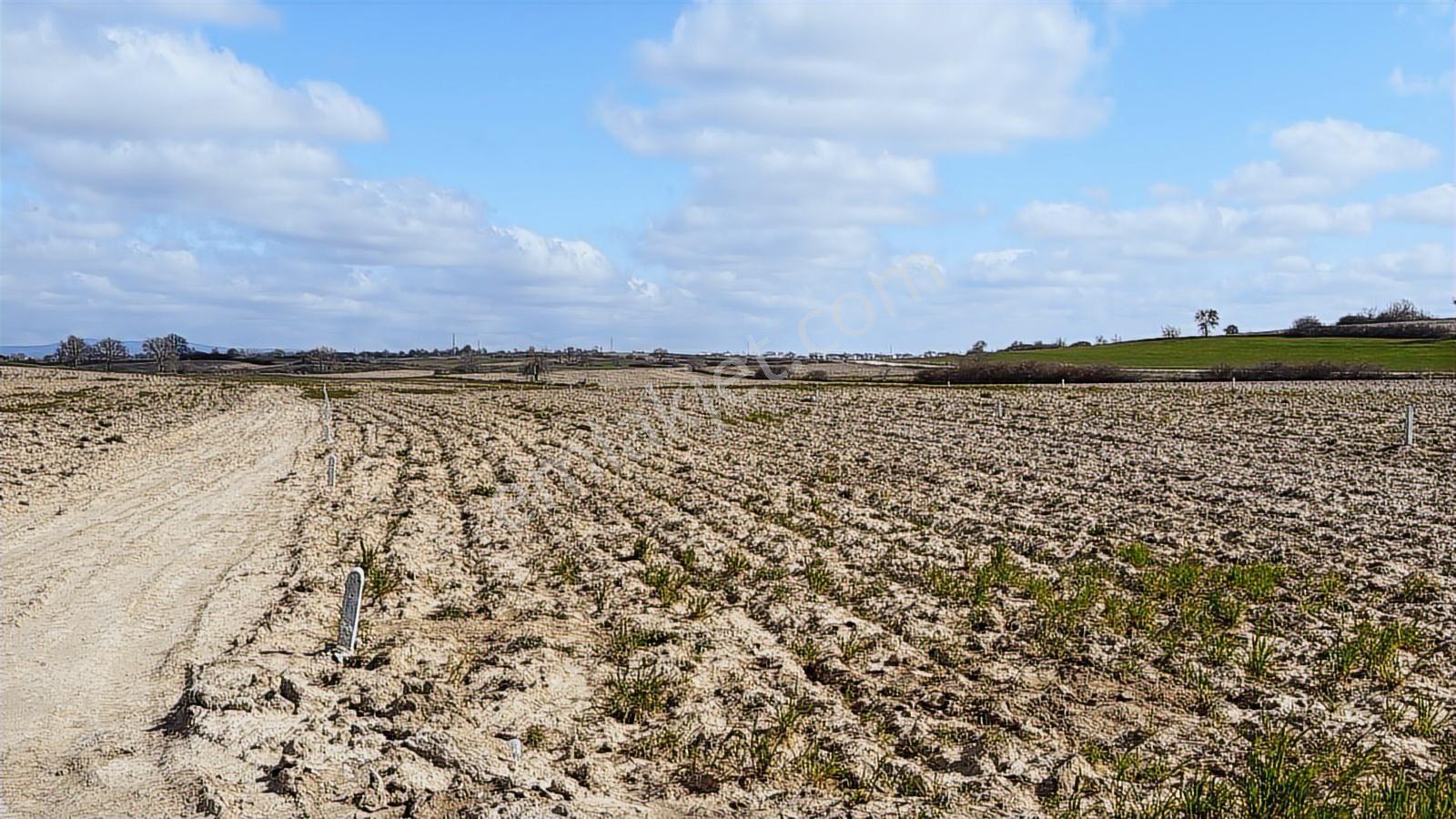 Saray Büyükyoncalı'da 320m2 Satılık İfrazlı Kupon Arsa - Görsel 26