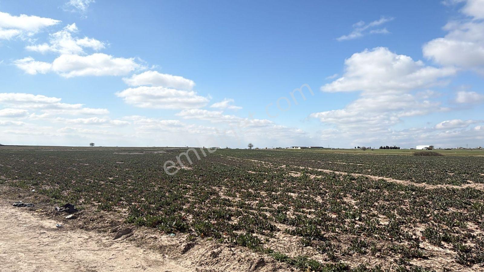 Saray Büyükyoncalı'da 320m2 Satılık İfrazlı Kupon Arsa - Görsel 35