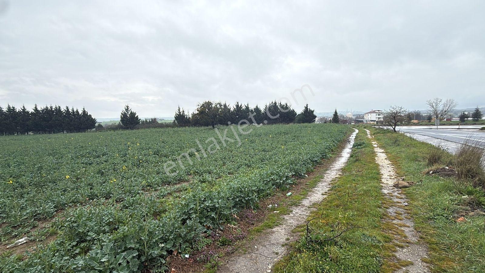 Silivri Büyükçavuşlu'da 9.500 M2 Asfalt Cephe Yatırım Fırsatı - Görsel 8