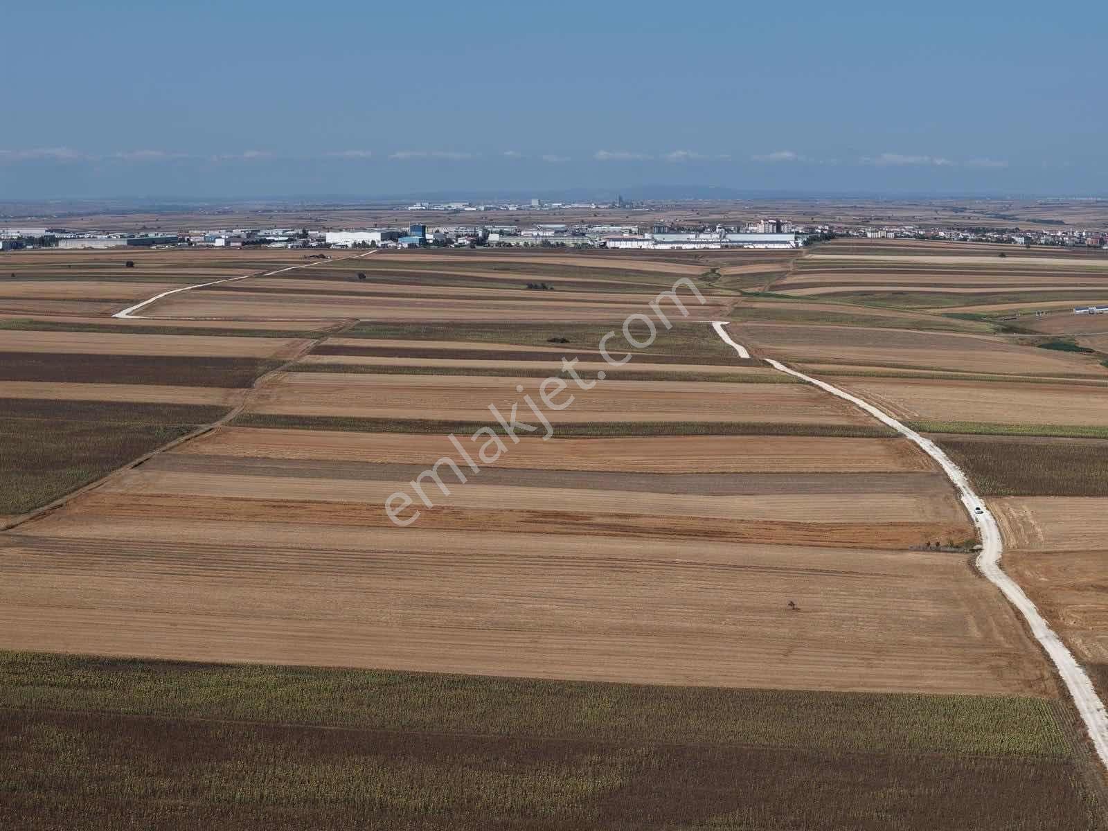 Tekirdağ Ergene Sağlık Arazi 13.000m2 Tek Tapu Tarla - Görsel 2