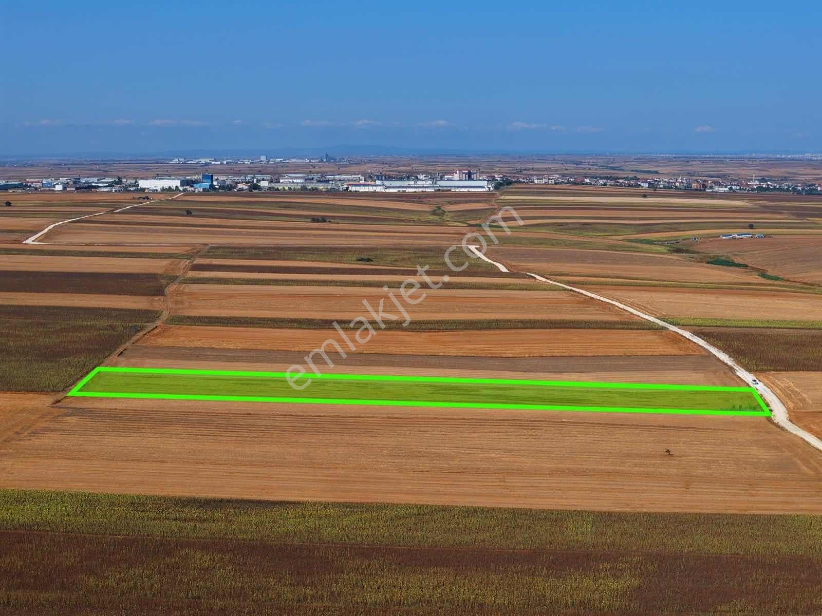 Tekirdağ Ergene Sağlık Arazi 13.000m2 Tek Tapu Tarla - Görsel 19