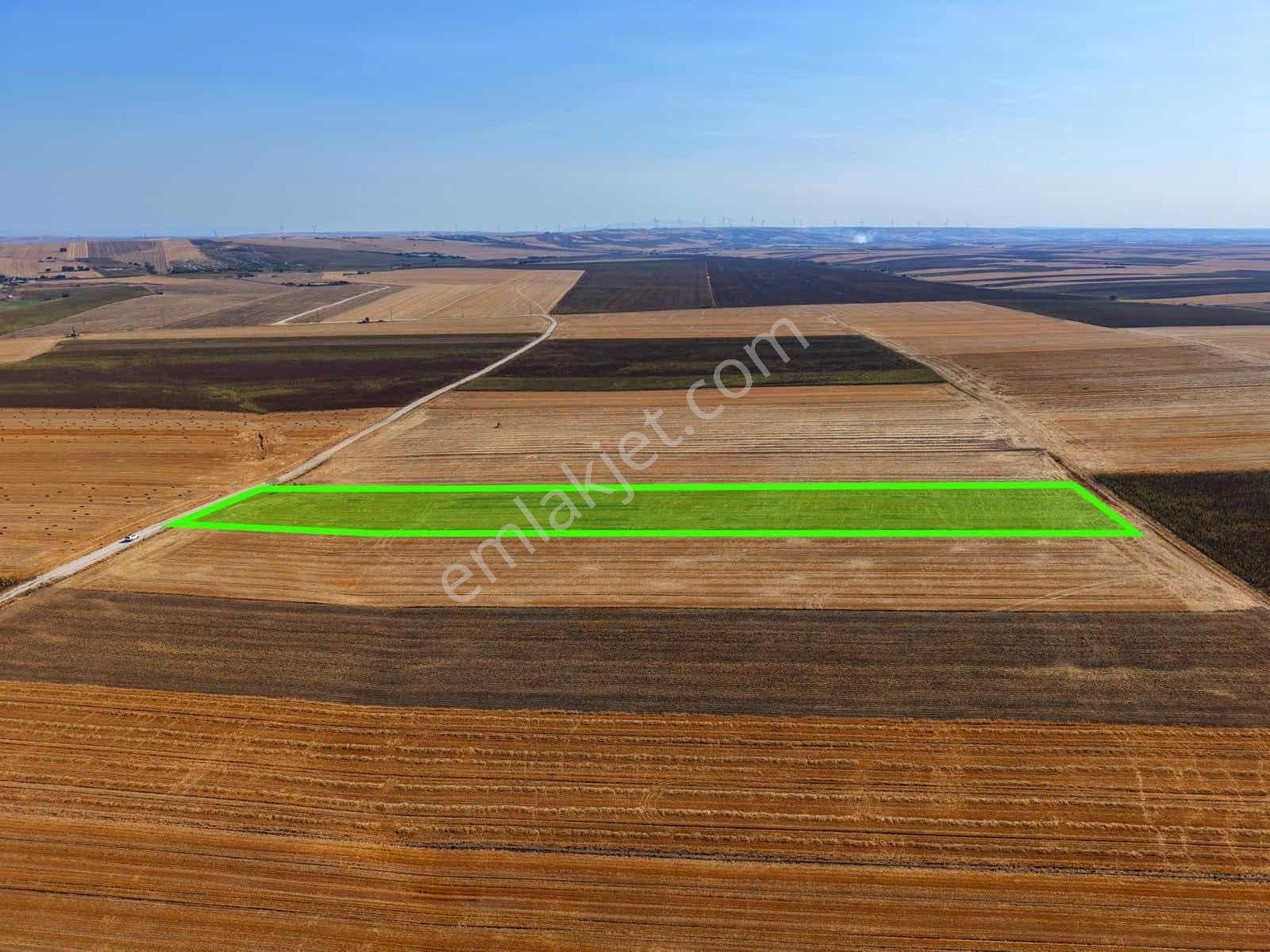 Tekirdağ Ergene Sağlık Arazi 13.000m2 Tek Tapu Tarla - Görsel 14