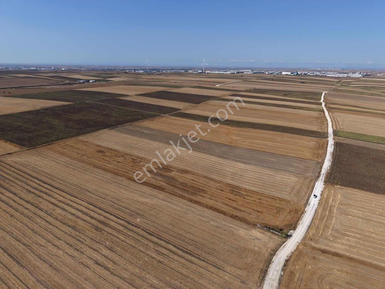 Tekirdağ Ergene Sağlık Arazi 13.000m2 Tek Tapu Tarla - Görsel 4